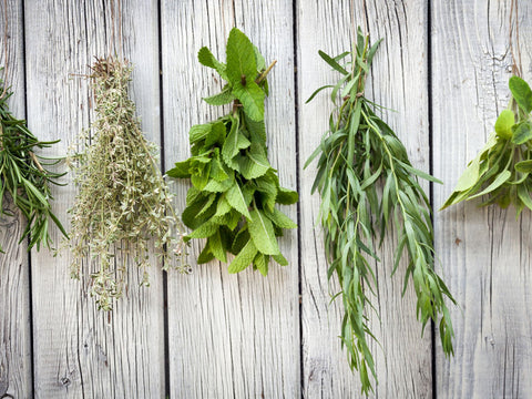 Fresh Herbs