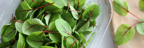 Micro Herbs