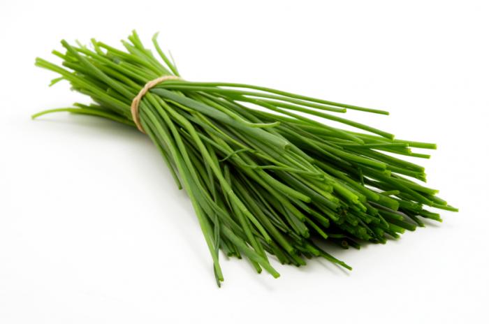 Chives - Capital Wholesalers
