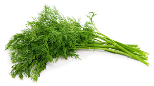 Dill - Capital Wholesalers