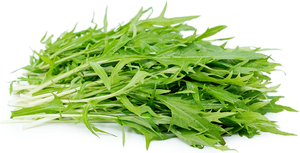 Mizuna - Capital Wholesalers
