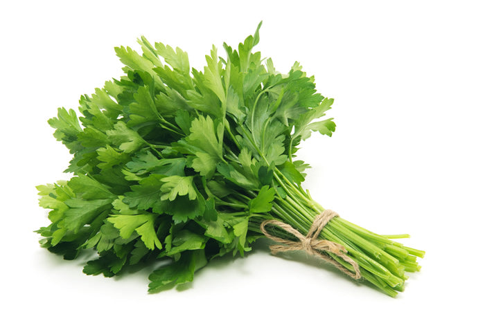 Flat Parsley - Capital Wholesalers