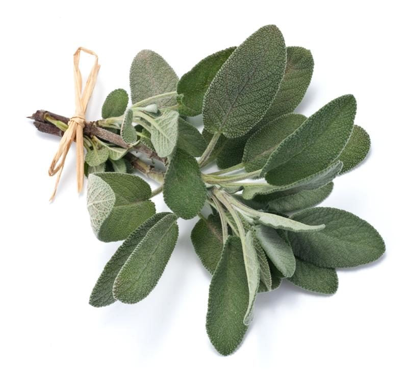 Sage - Capital Wholesalers