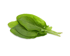Sorrel - Capital Wholesalers
