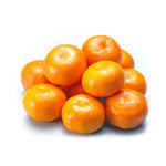 Load image into Gallery viewer, Satsuma - Capital Wholesalers
