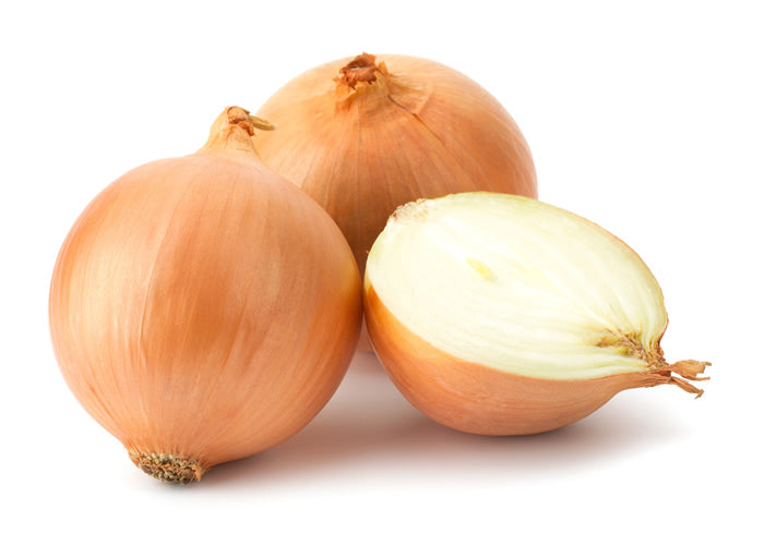 Large Spanish Onion - Capital Wholesalers