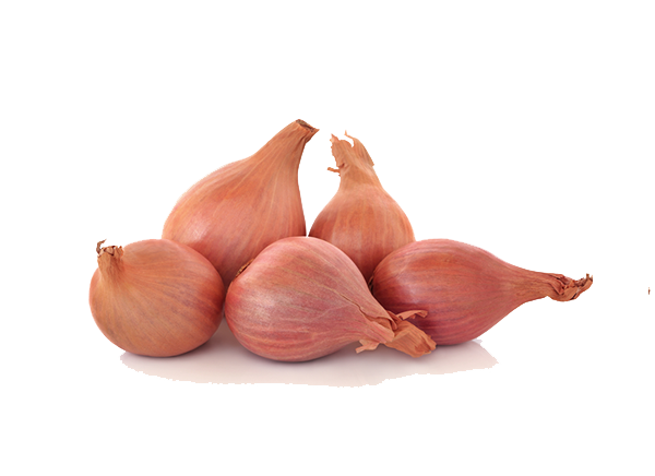 cluster of shallots 28828931 PNG