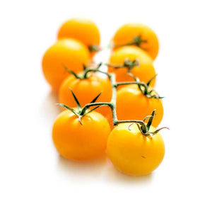 Yellow Cherry Tomatoes - Capital Wholesalers