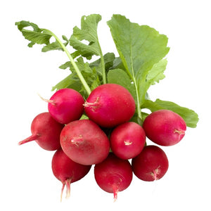 Radish - Capital Wholesalers