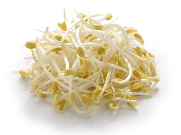 Beansprout - Capital Wholesalers