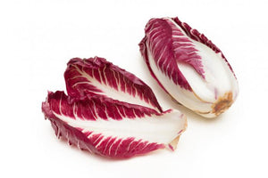 Red Chicory - Capital Wholesalers