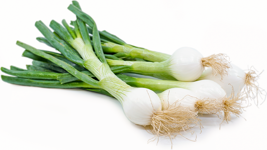 Spring Onion, 100g