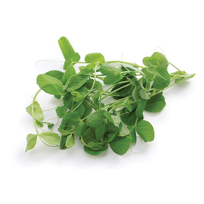 Micro Pea Shoot, 100g