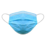 Load image into Gallery viewer, Protective Disposable Face Mask, 3-Ply (10 Masks)
