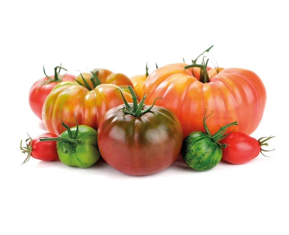 Isle of Wight Heritage Tomatoes, 500g