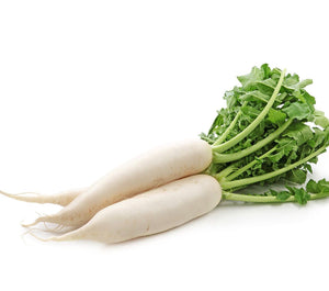 Mooli (White Radish)