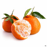 Load image into Gallery viewer, Satsuma
