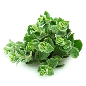 Oregano, 100g
