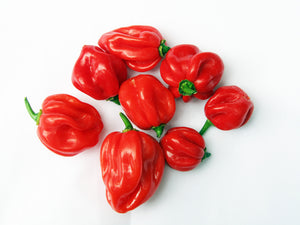 Habanero, World Hottest Chili (100g)