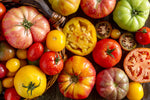 Load image into Gallery viewer, Isle of Wight Heritage Tomatoes, 500g
