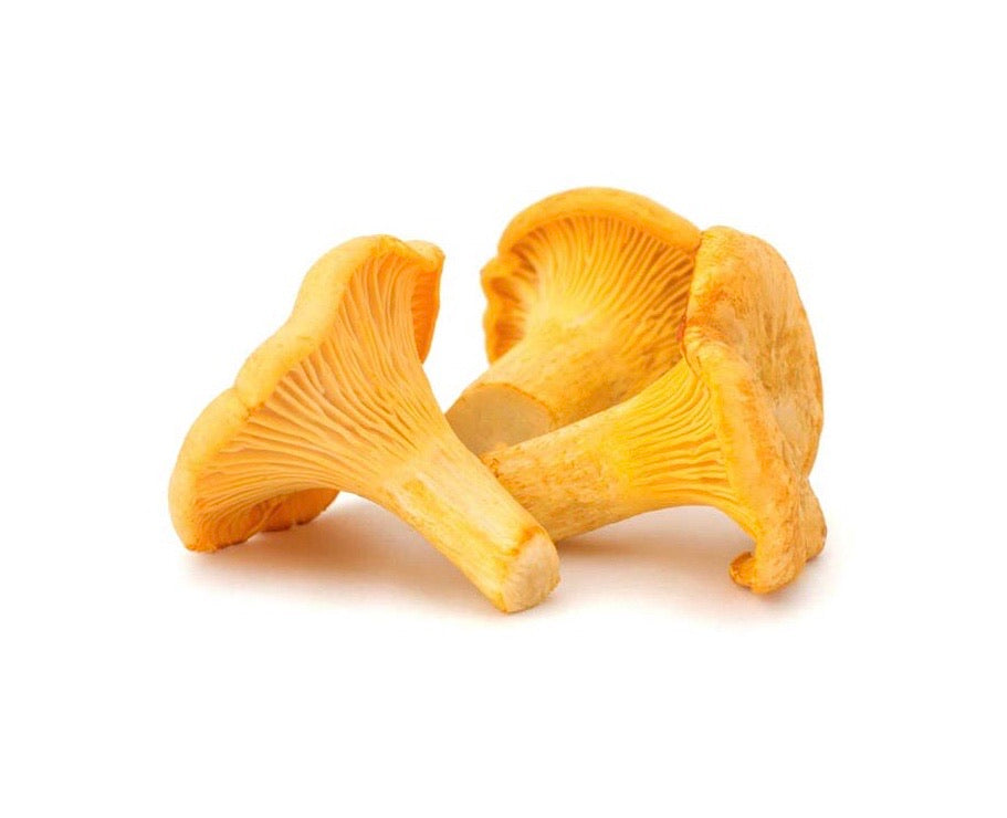 Wild Girolle Mushrooms, 1kg