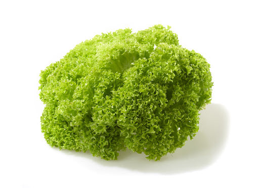 Lollo Bionda Lettuce