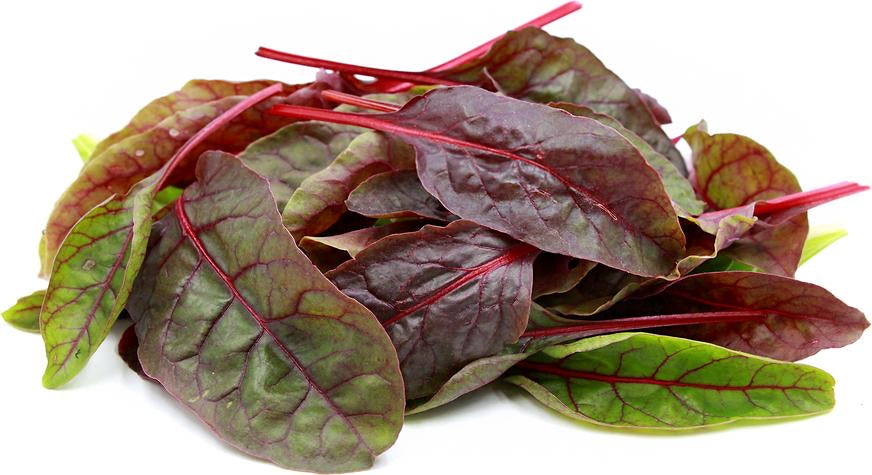 Red Swiss Chard