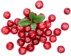 Cranberries Fresh, Ocean Spray (240g)